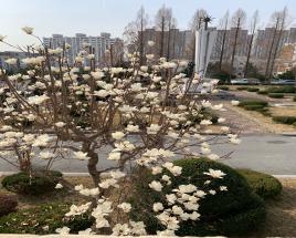 사진10
