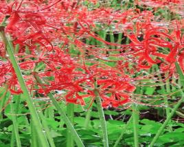 사진11