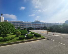 사진9